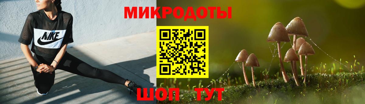 Галлюциногенные грибы GOLDEN TEACHER Ливны